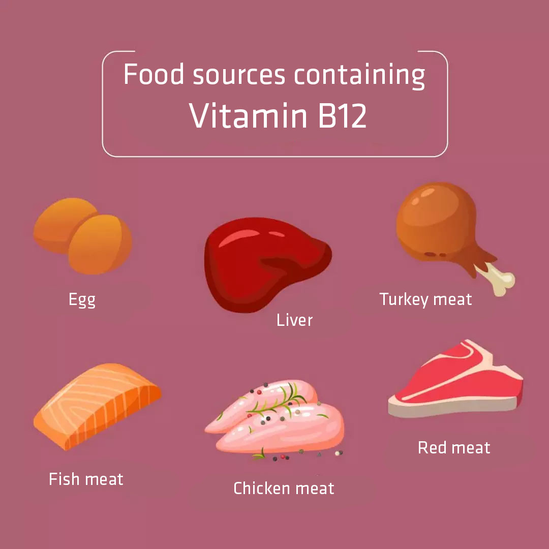 Food sources containing vitamin B12