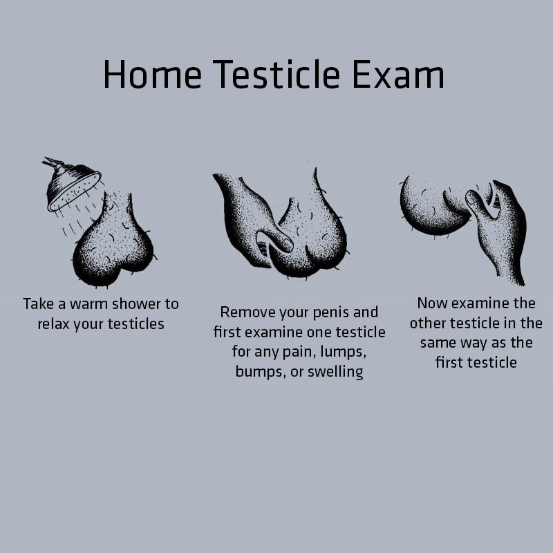Home testicle examination in just one minute