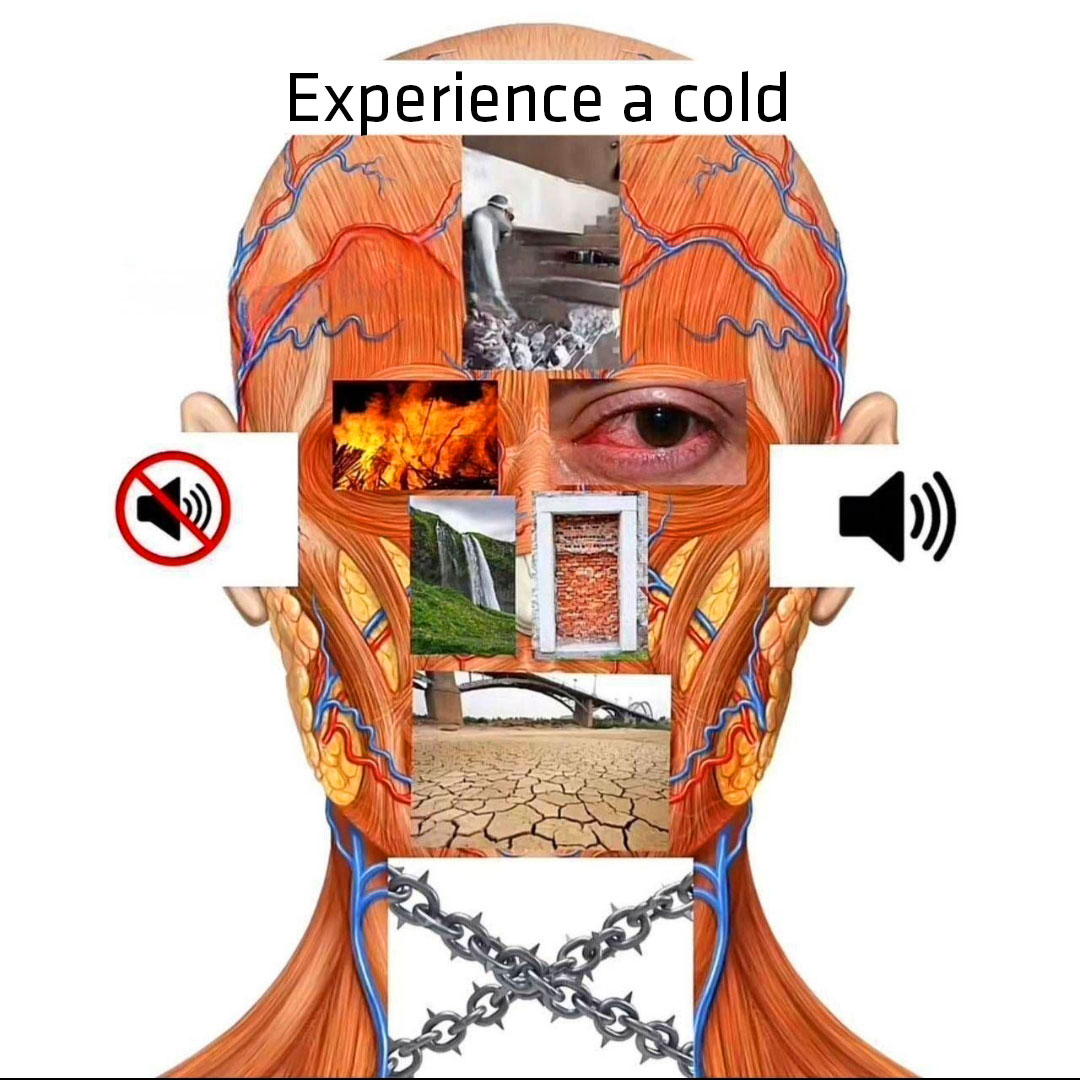 If the cold experience were picture