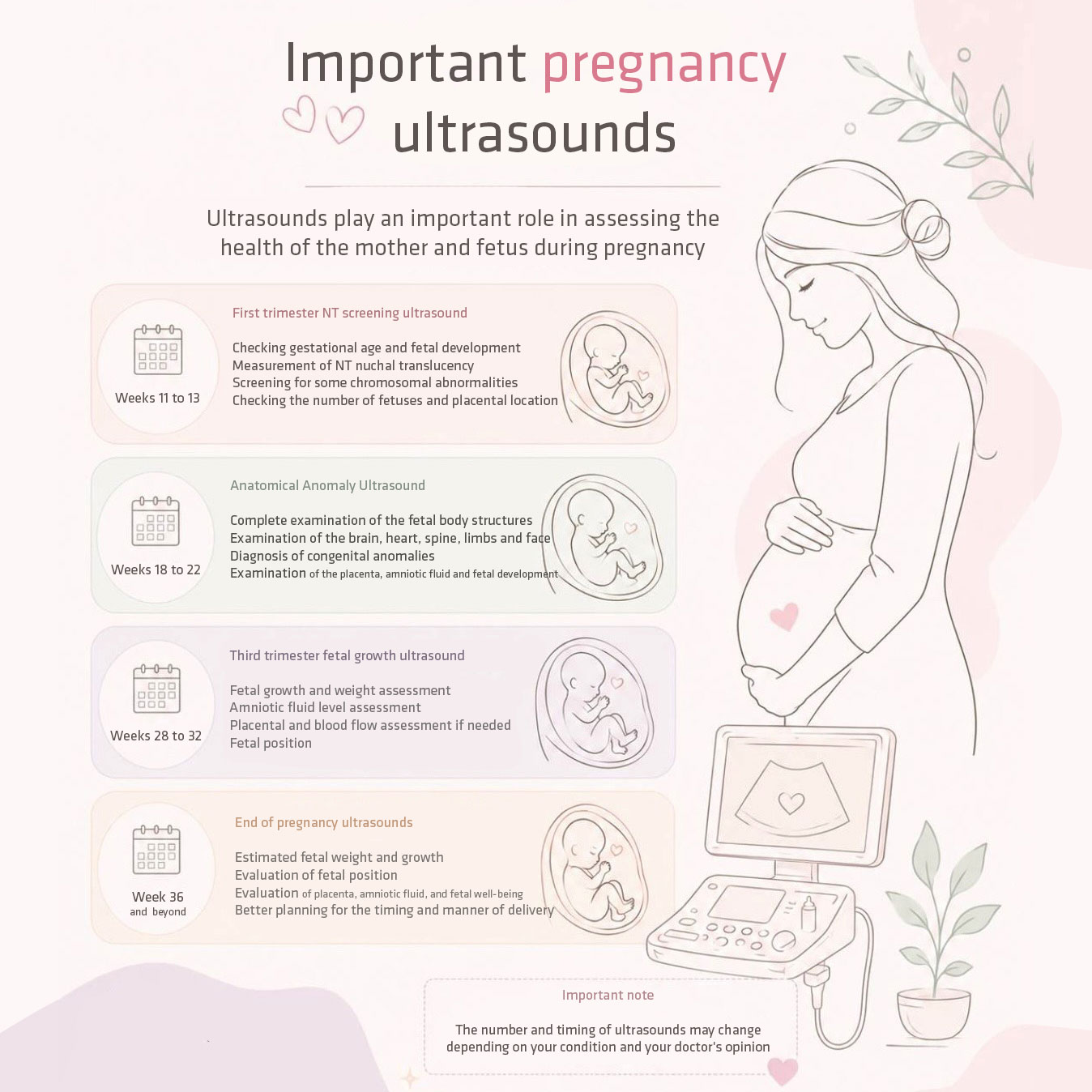 Important pregnancy ultrasounds at weeks 11, 18, and 28 to 36